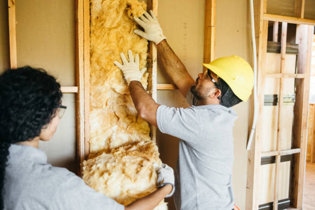 Best Insulation Inspection Services  in Etna, PA