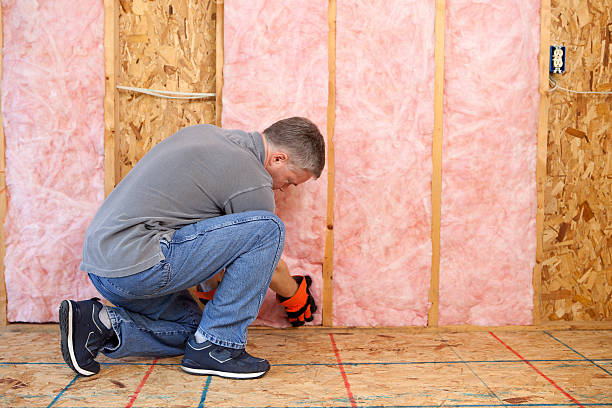 Best Local Insulation Services  in Etna, PA