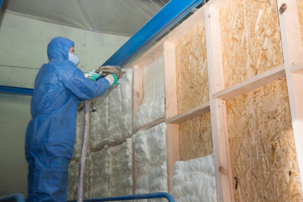 Best Insulation Removal  in Etna, PA